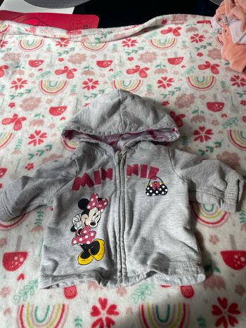 Vestes Disney