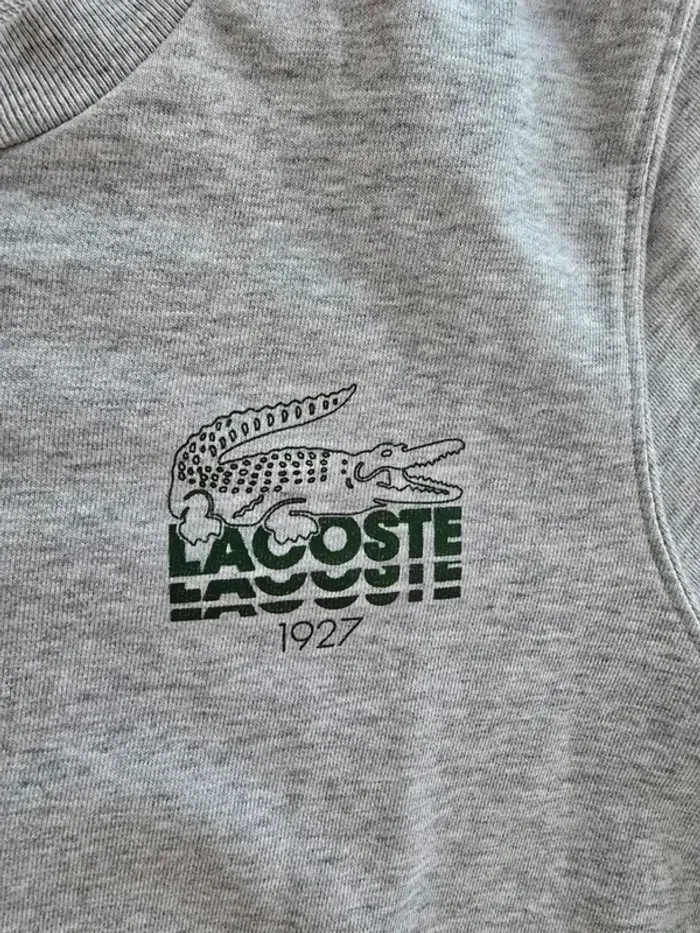 Sweat lacoste - photo numéro 4