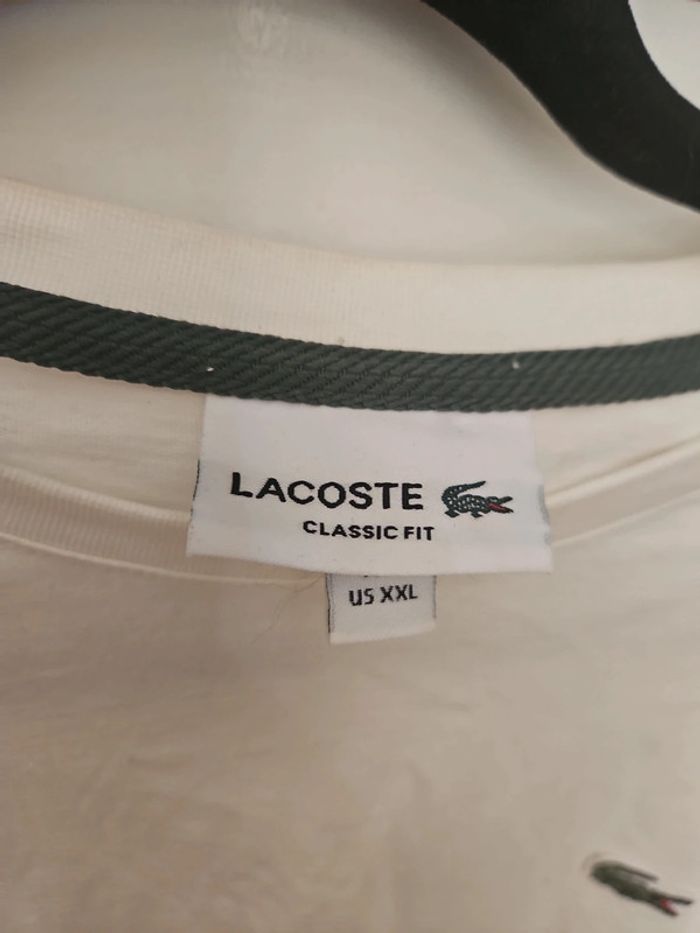 Très beau tee-shirt Lacoste écru - photo numéro 4