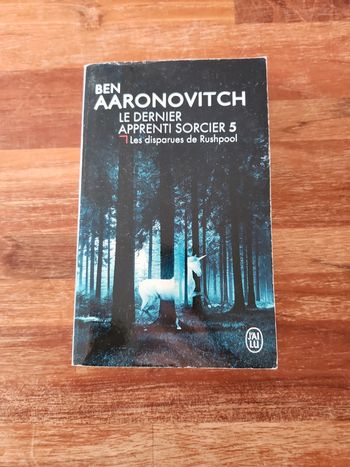 Livre le dernier apprenti sorcier 5