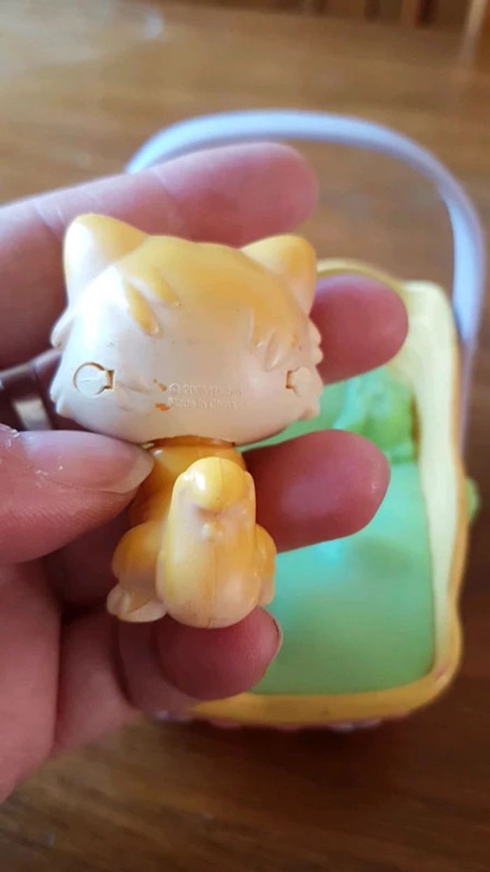 Chat petshop angora qui boit son lait - photo numéro 3