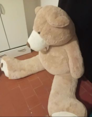 Grand ours peluche 