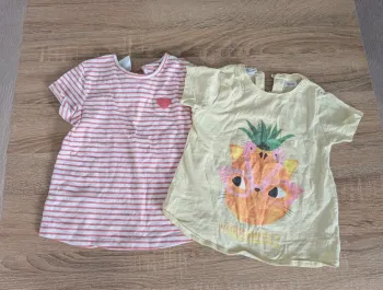 Lot 2 t shirt Zara