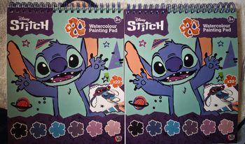 Lot de 2 carnets de peinture Stitch