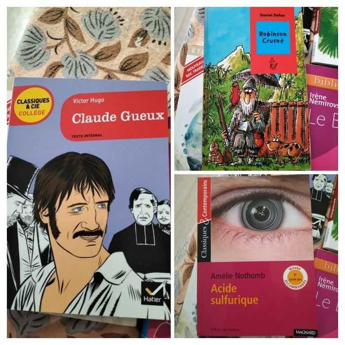 Ensemble de livres classiques Collège - Lycée - photo numéro 2