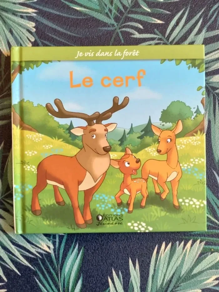 Livre enfant Le cerf, je vis dans la forêt