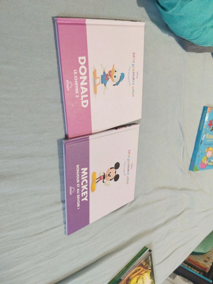 Livre mes premiers amis Disney