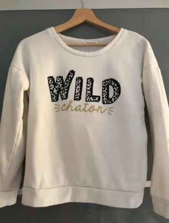 Sweat cache cache chaton