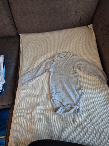 Bodies gris