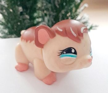 Figurine Littlest Pet Shop Cochon d'Inde marron et beige