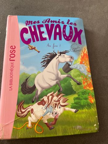 Livre bibliothèque rose mes amis les chevaux tome 30
