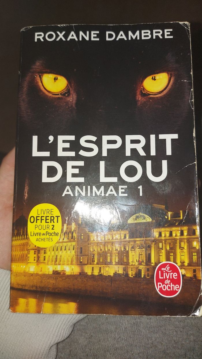 L'esprit de Lou : animae 1