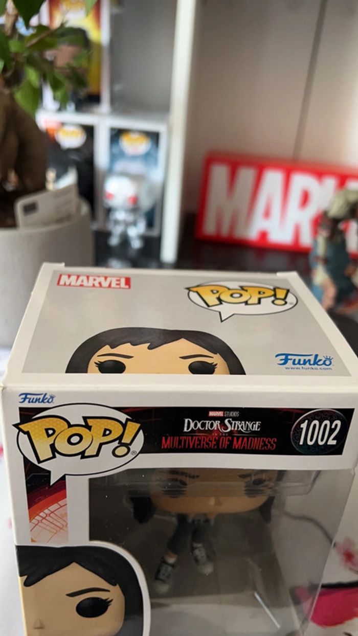 Pop America chavez - photo numéro 5