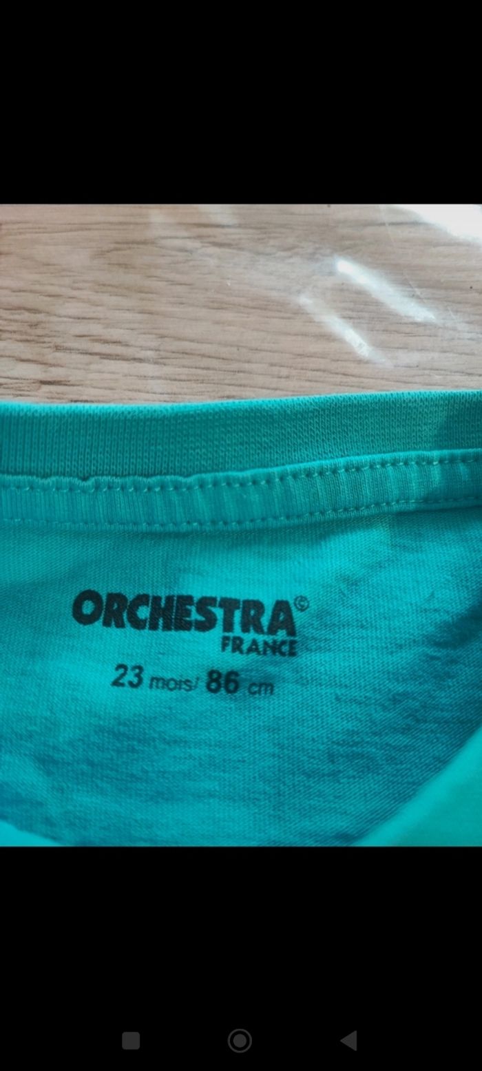 T-shirts - photo numéro 4