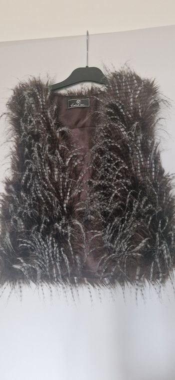 Gilet sans manches plumes fines