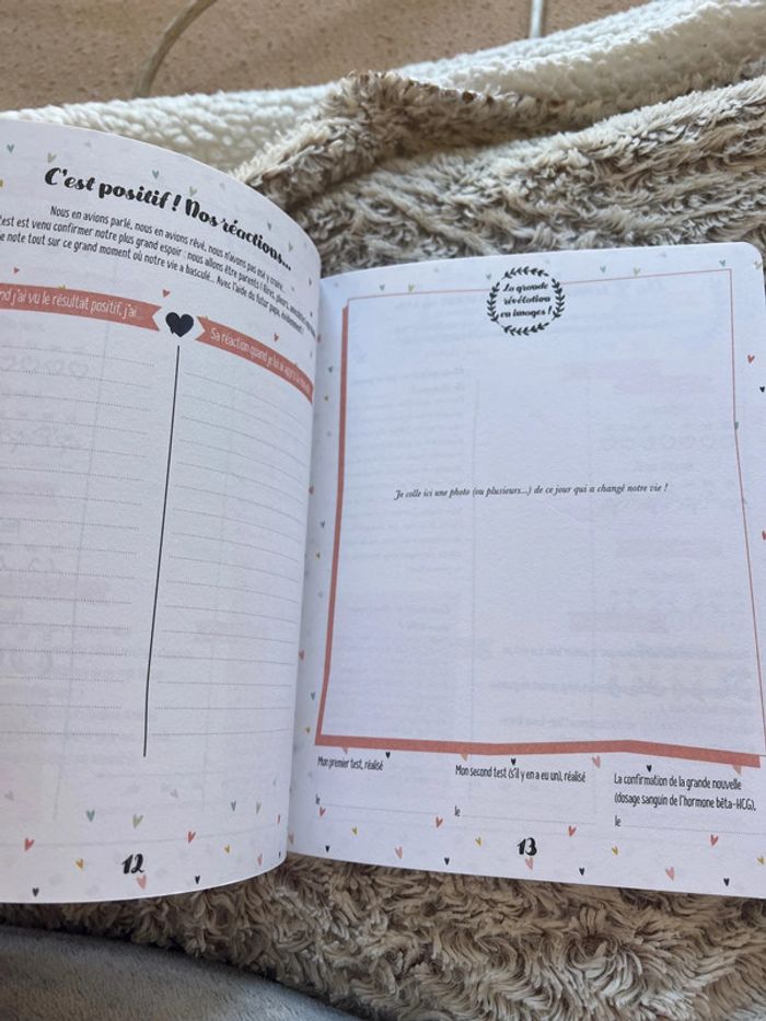 Petit journal de ma grossesse - photo numéro 8