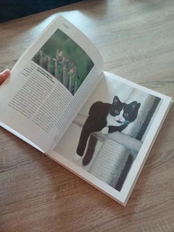 Livre " les chats , ces compagnons de jeu aux pattes de velours " - photo numéro 6