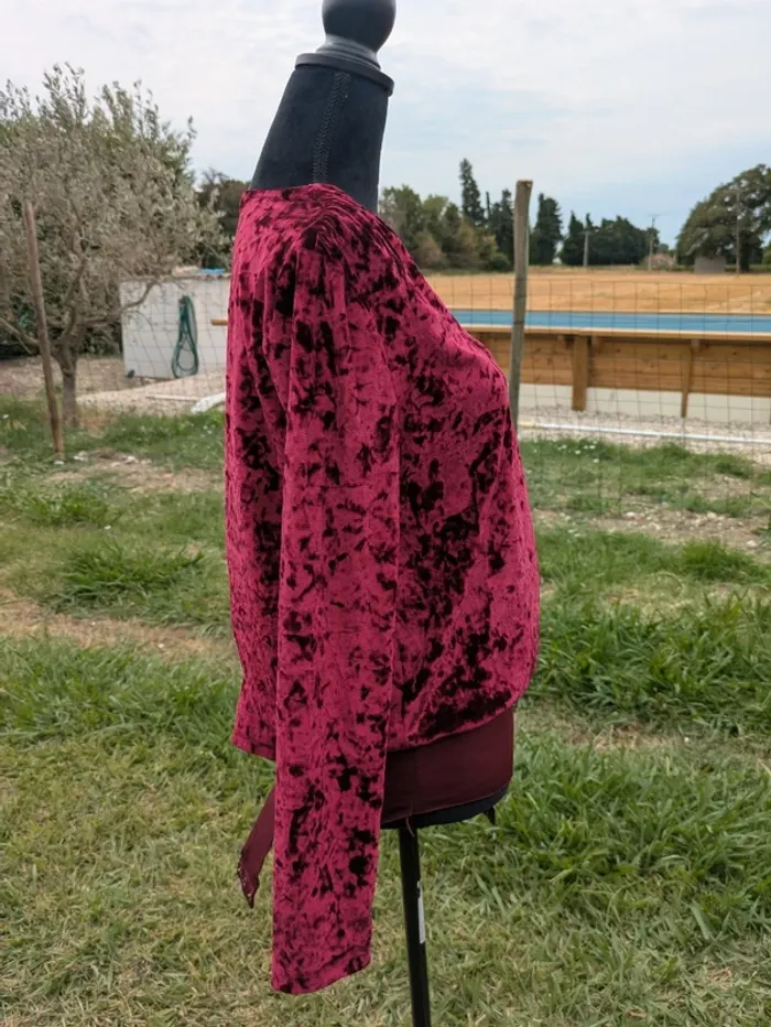 Body velour - photo numéro 3