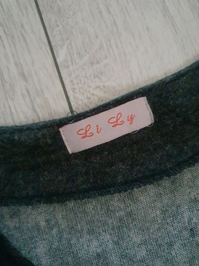Robe Tunique Vintage Automnale - photo numéro 2