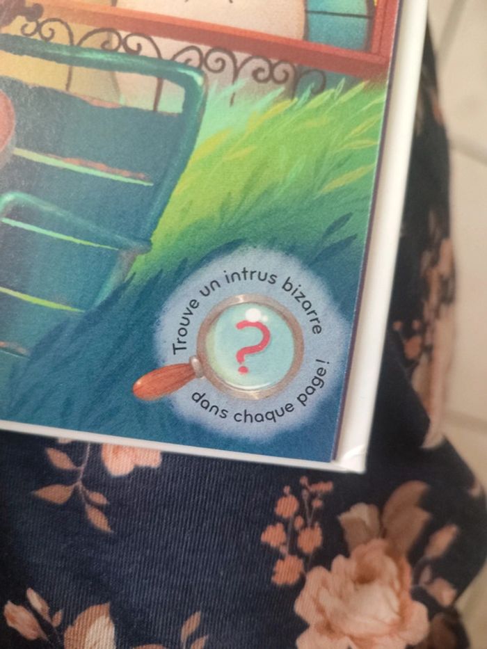 Livre le violon qui fanfaronnait - photo numéro 4