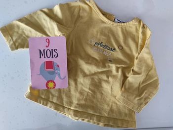 Tee shirt manches longues taille 9 mois