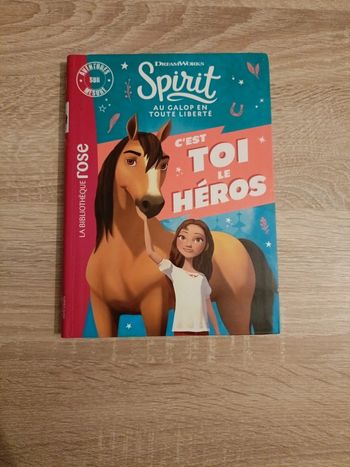 Livre spirit au galop toute liberté