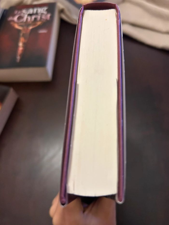 Livre Pompéi de Robert Harris - photo numéro 6