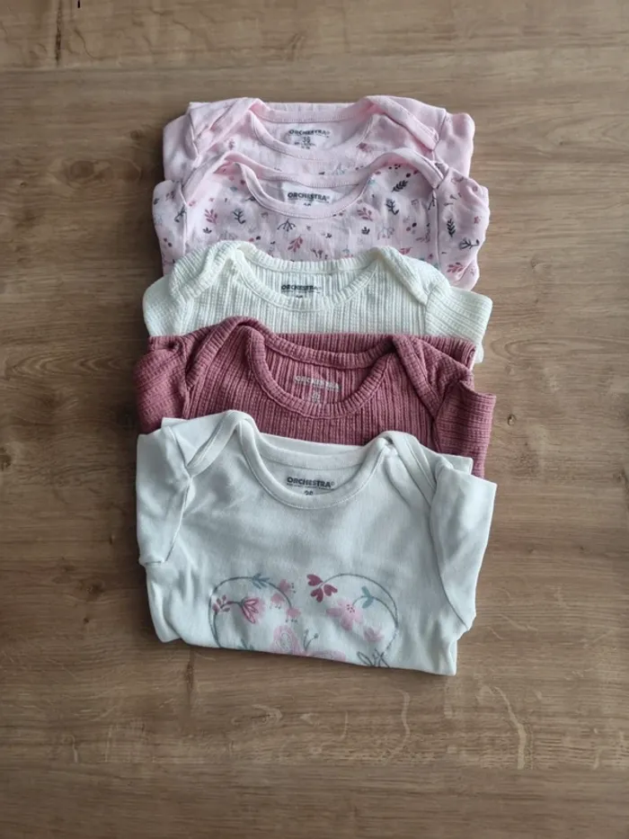 Lot 5 body manches longues