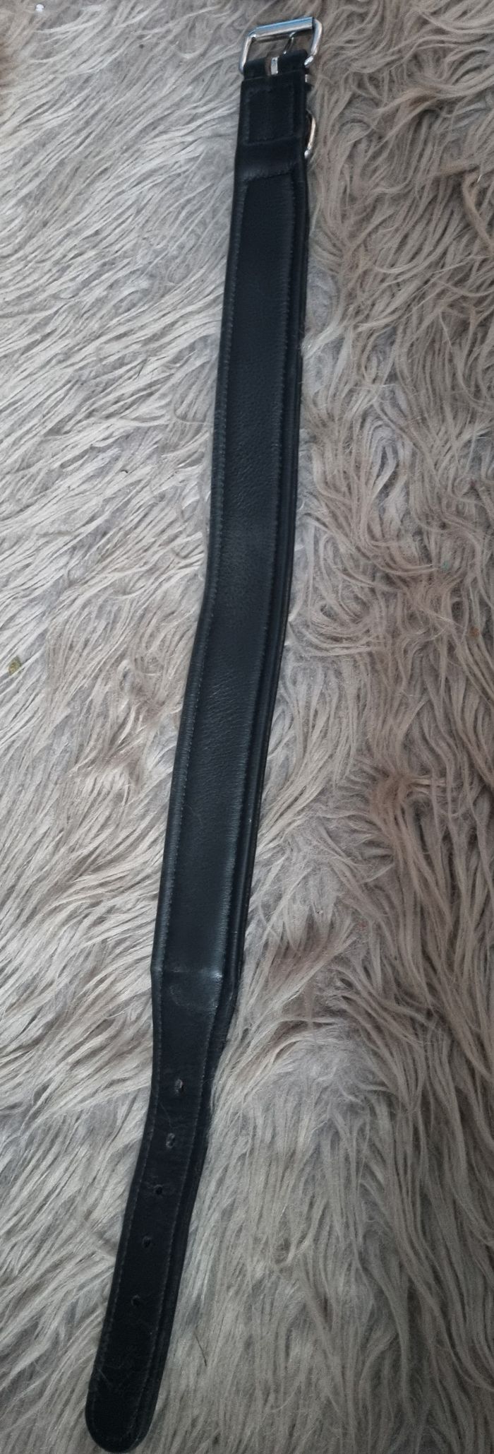 Collier chien noir avec strass taille L-XL - photo numéro 6