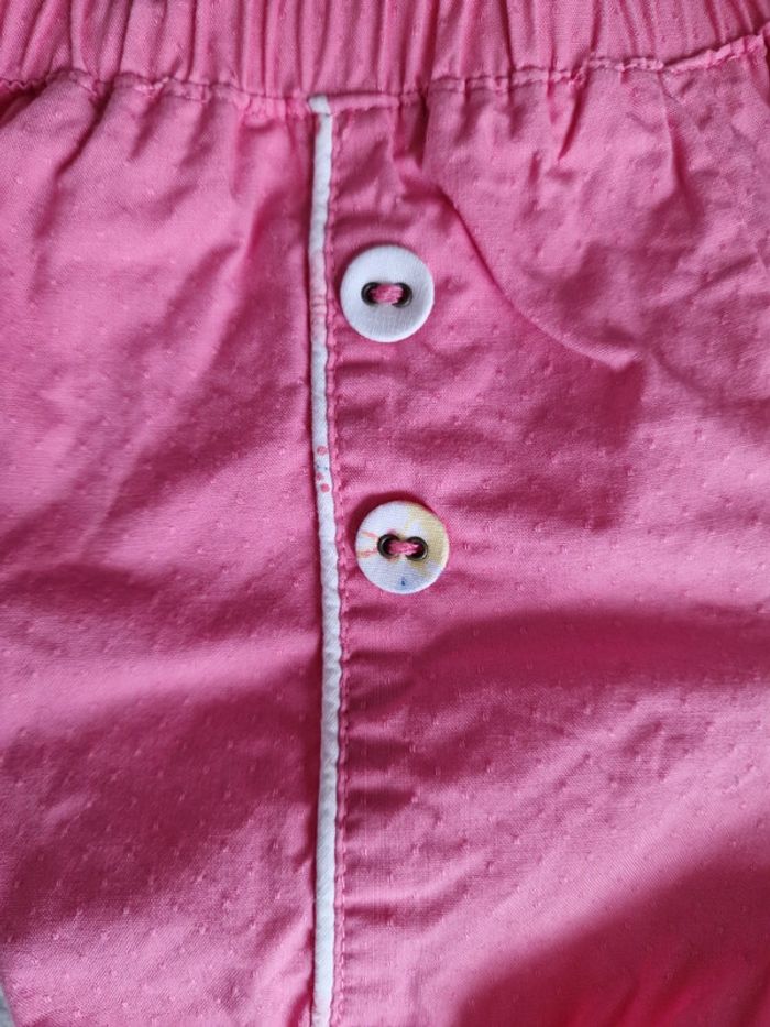 Short rose Sergent Major 6M (BE) - photo numéro 4