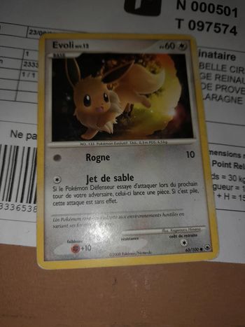 Carte pokemon