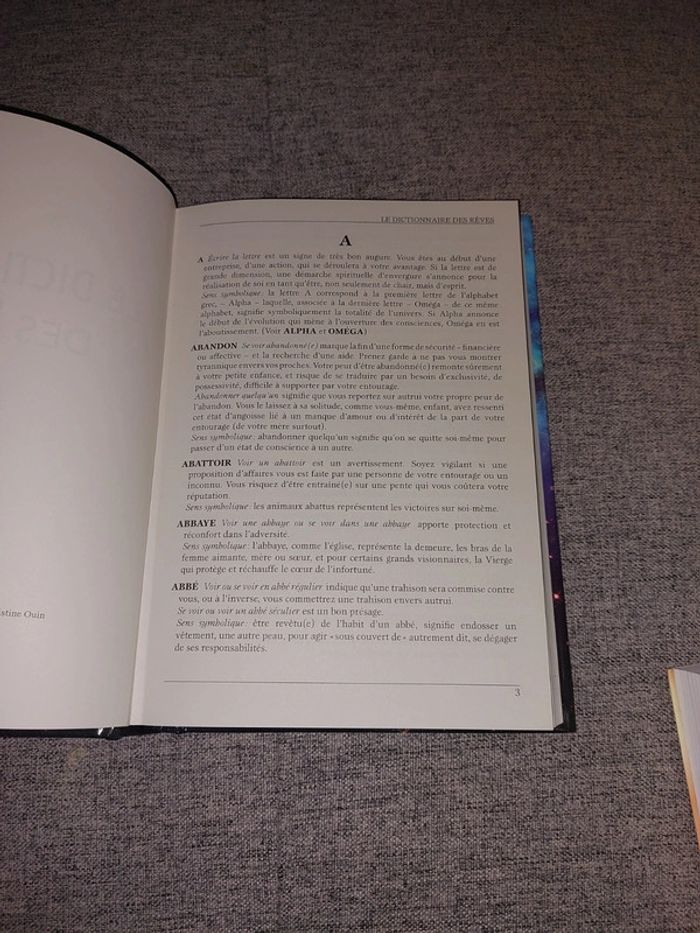 Le dictionnaire des rêves - photo numéro 6