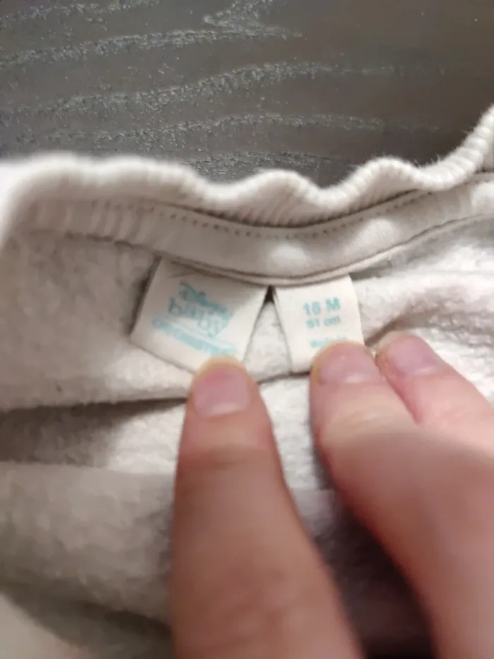 Pull roi lion 18mois - photo numéro 3