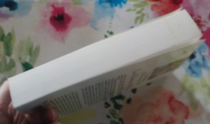 Les Dames de Brières de Catherine Hermary-Vieille Ed. Albin Michel - photo numéro 5