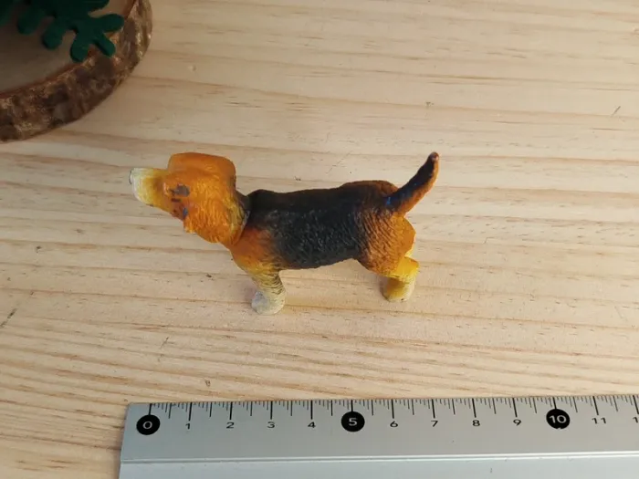 Fig Epagneul chien de chasse Animal domestique - photo numéro 3