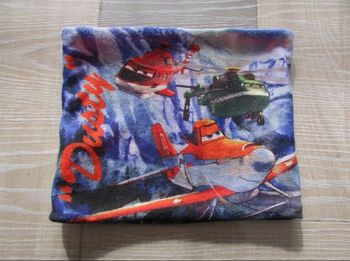 Cache-cou Disney Planes