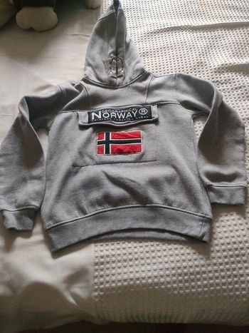 Sweat à capuche