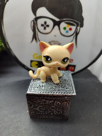 Lps01113 My Littlest Petshop Pet Shop LPS Authentic Chat Cat Shorthair 733
