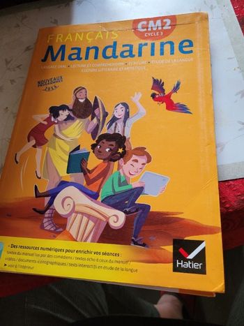 Mandarine français cm2