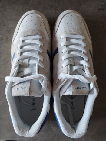 Basket Lacoste