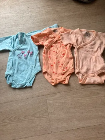 Lot 3 bodies