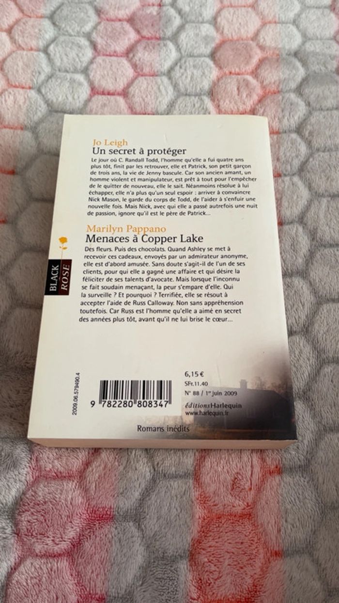 Un secret à protéger et menaces à copper lake - photo numéro 2
