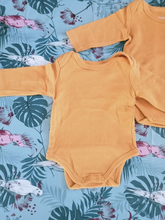 Lots 2bobys 1 mois inextenso - photo numéro 2