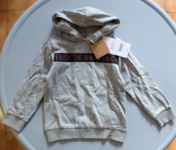 Sweat à capuche garçon en coton 18/24mois