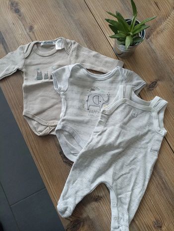 Lot de 3 bodys naissance