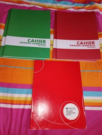 Lot de 5 cahiers neuf 24x32 cm