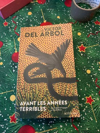 Avant les années terrine