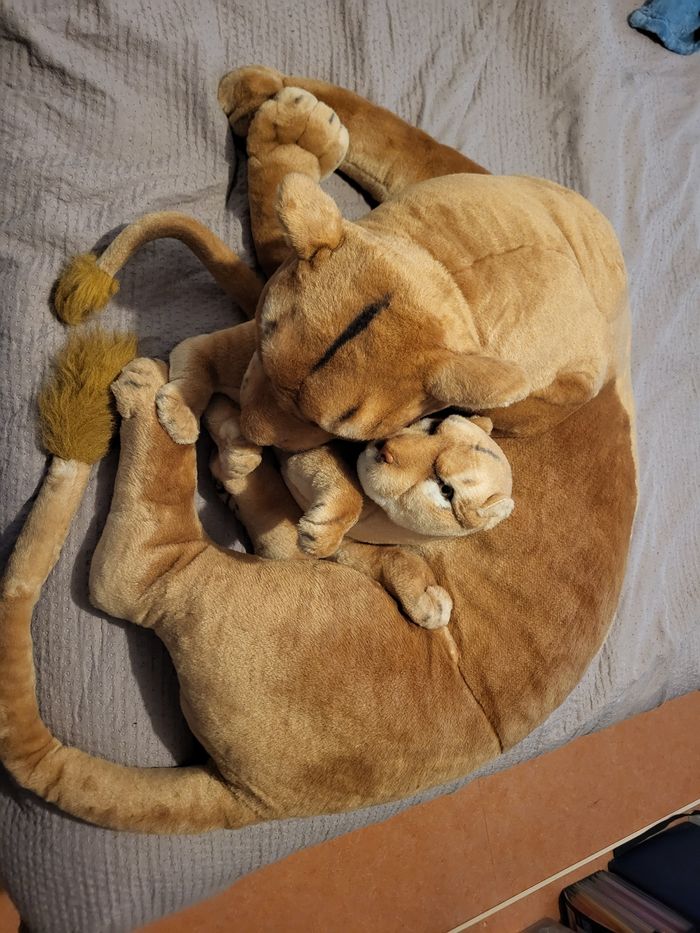 Lionne et son metit - photo numéro 2