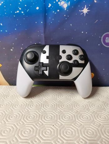 Manette pro pour Nintendo switch 