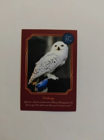 🃏 Carte Harry Potter (Auchan) - Wizarding World - Hedwige 77/90